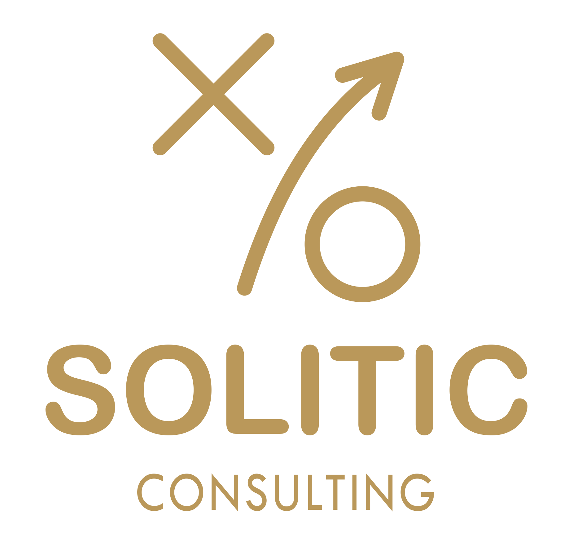 Solitic Consulting
